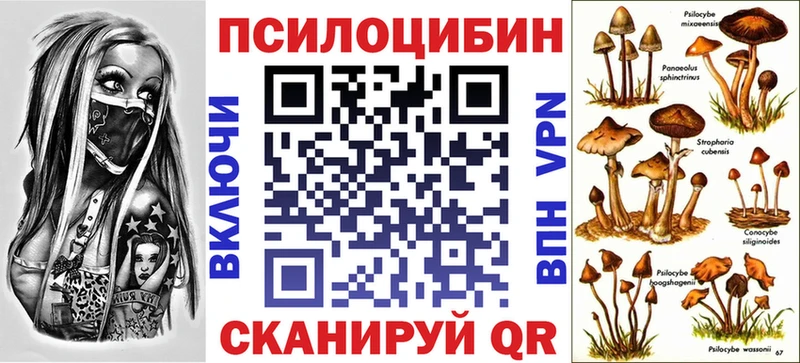 маркетплейс какой сайт  Алексеевка  Псилоцибиновые грибы Psilocybine cubensis 