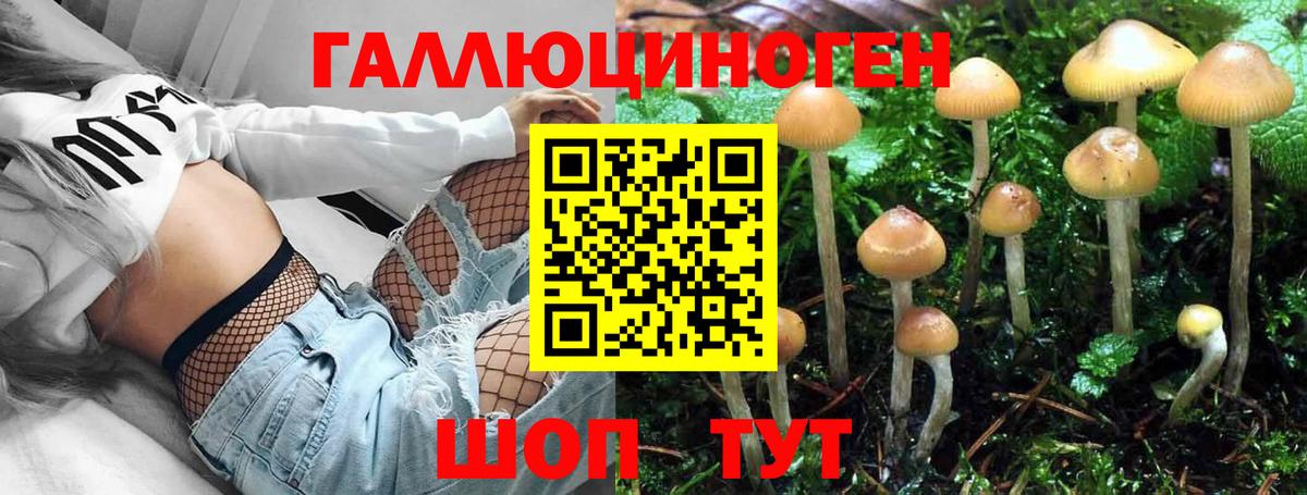 Алексеевка  Псилоцибиновые грибы MAGIC MUSHROOMS  цена   Вход с VPN 
